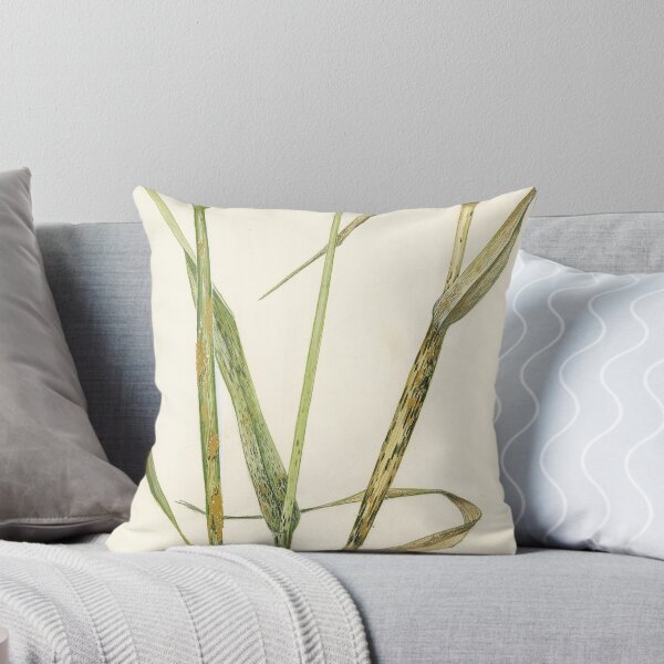 Item preview, Stem Rust of Wheat designed and sold by BiosecurityColl.