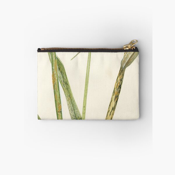 Item preview, Stem Rust of Wheat designed and sold by BiosecurityColl.