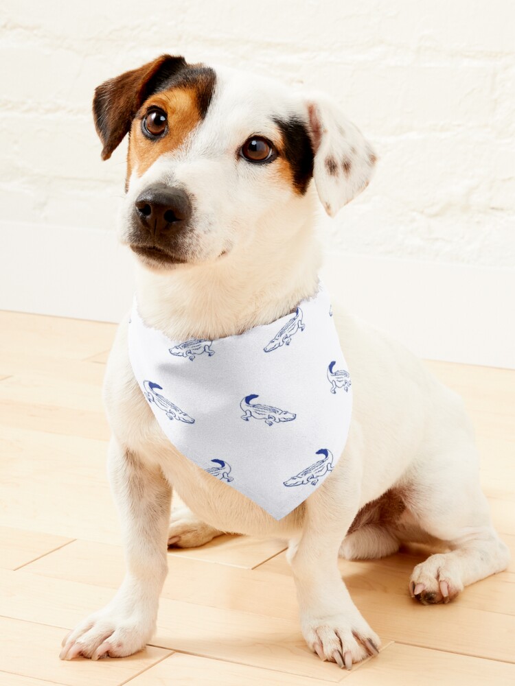 Detroit Lions Dog Bandana standard Tie-on Bandana 