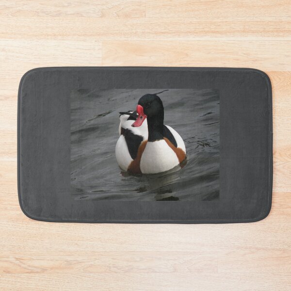 Item preview, Male Shelduck Posing on the Pond Photograph designed and sold by naturegallery.