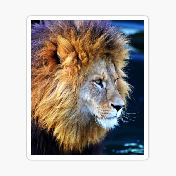 Item preview, Lion Seamless Pattern designed and sold by 37jlee.