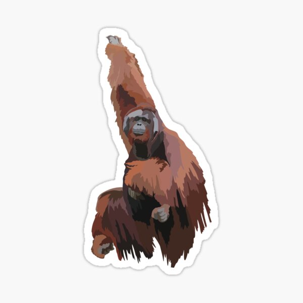 Item preview, O is for OrangutanOrangutan Illustration – Great Ape Artwork designed and sold by PrettylittlepastelUk.