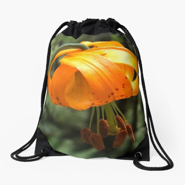 Item preview, The Light Lantern of the Tiny Orange Forest Lily designed and sold by Photomersion.