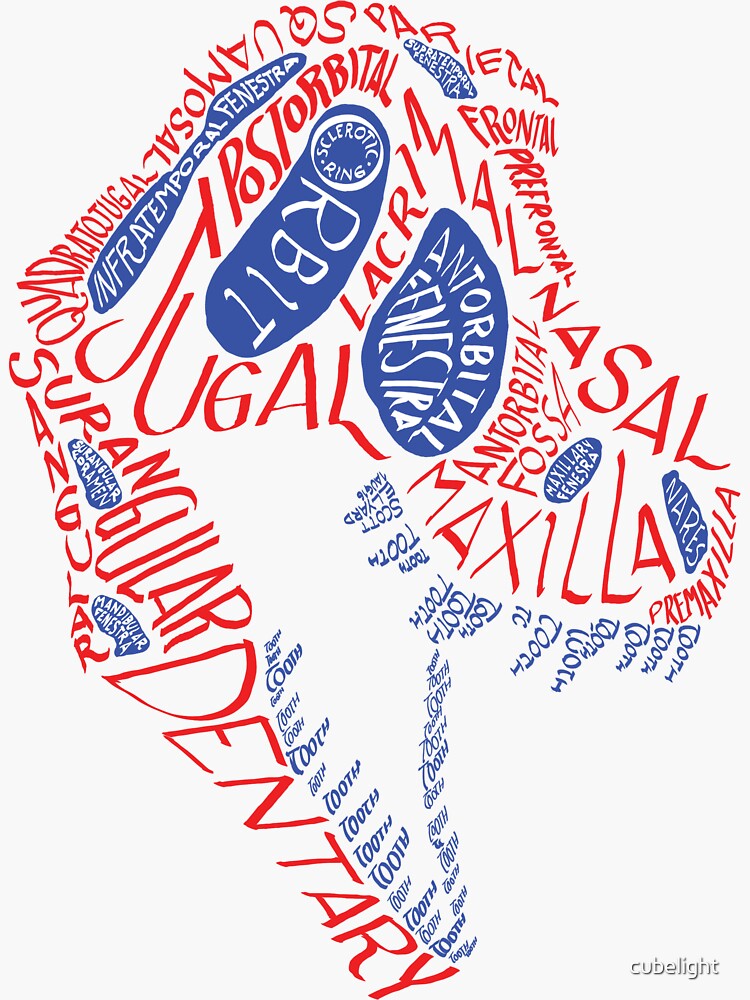 Calligram of the Anatomy of a Tyrannosaur Skull gradient by cubelight