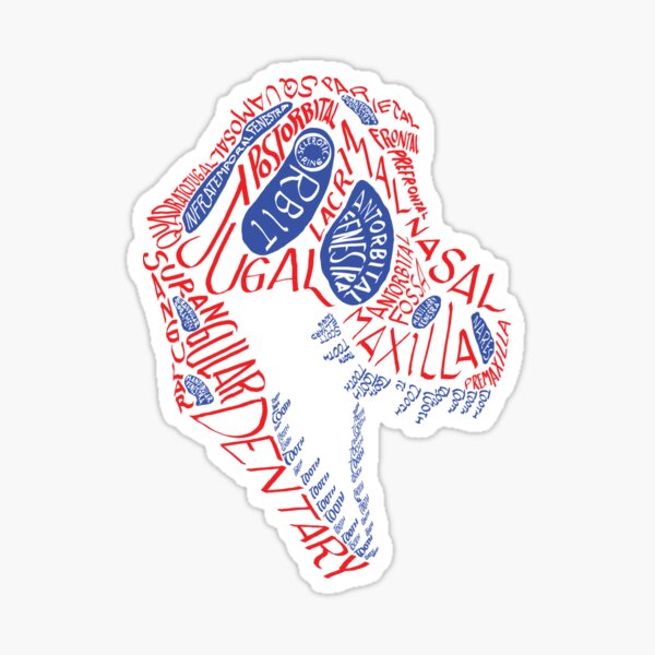 Calligram of the Anatomy of a Tyrannosaur Skull gradient Sticker