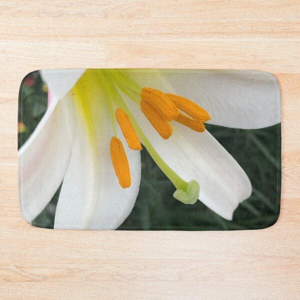 Item preview, The Rise and Shine of the Glorious Easter Lily designed and sold by Photomersion.