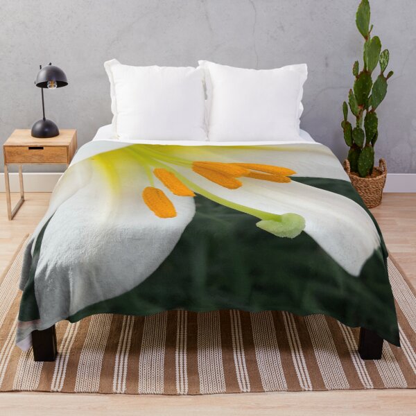 Item preview, The Rise and Shine of the Glorious Easter Lily designed and sold by Photomersion.