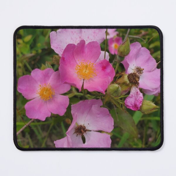 Item preview, Pink Flowers designed and sold by SarahVGarrett.