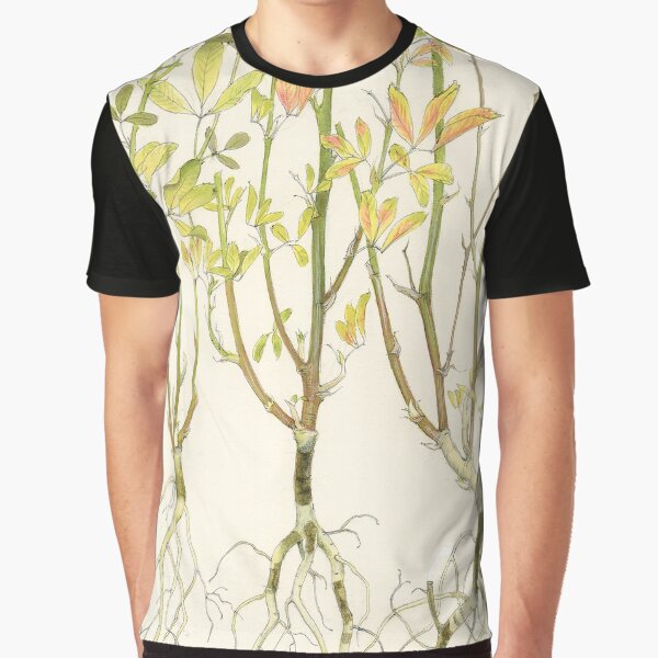 Phytophthora Root Rot of Lucerne Graphic T-Shirt