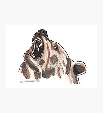 Spirit of Bear - Shamanic Art Photographic Print