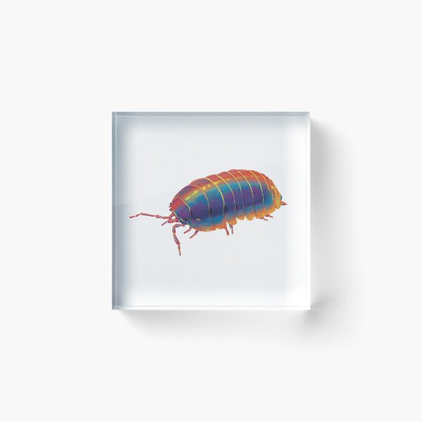 Item preview, Woodlouse designed and sold by pokegirl93.