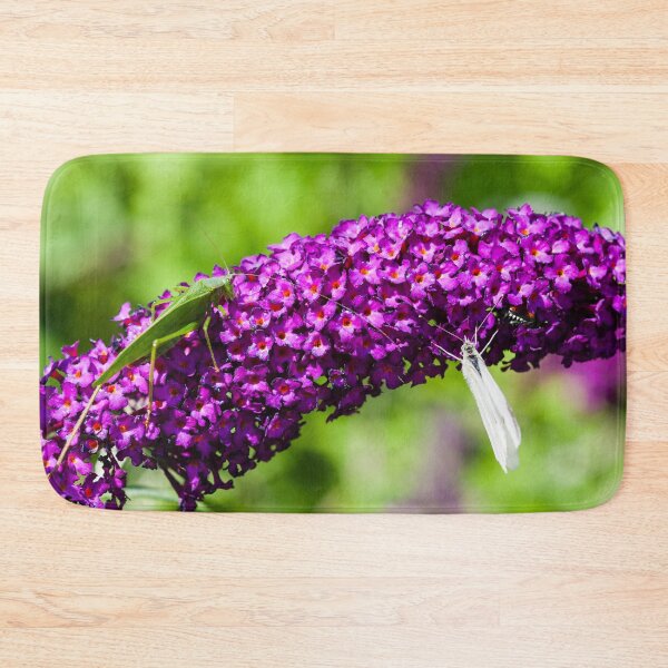 Item preview, katydid energy designed and sold by blacqbook.