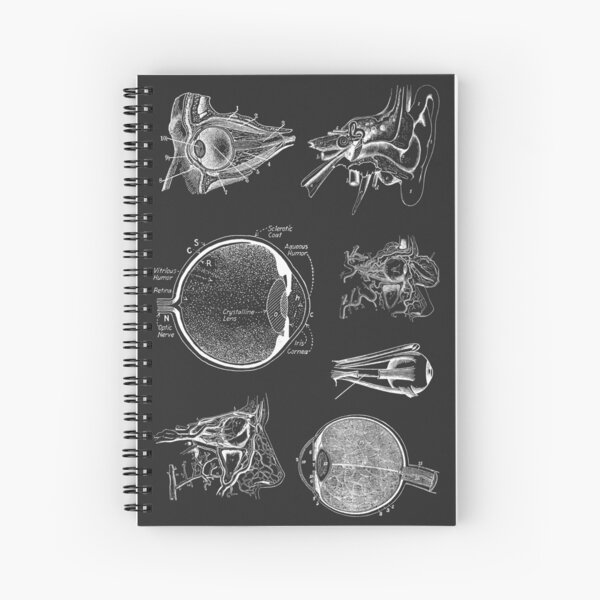 Item preview, Vintage human anatomy - ophthalmology  designed and sold by Preslava Genova.