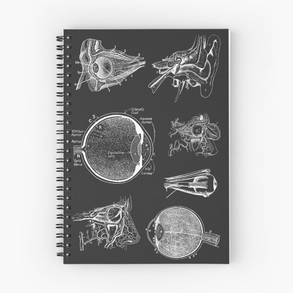 Item preview, Vintage human anatomy - ophthalmology  designed and sold by Preslava Genova.