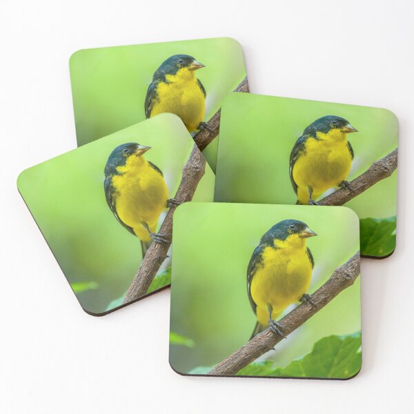 Item preview, Lesser Goldfinch Perched on a Branch designed and sold by Jeff Goulden Photography.
