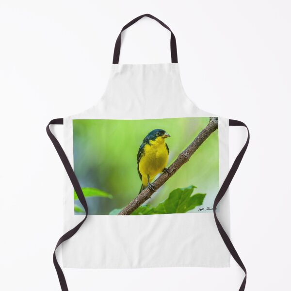 Item preview, Lesser Goldfinch Perched on a Branch designed and sold by Jeff Goulden Photography.