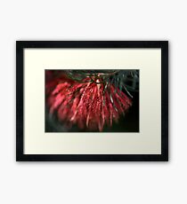 Soft Brush Framed Print