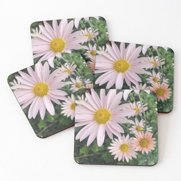 Item preview, Daisies designed and sold by Amanda1775.