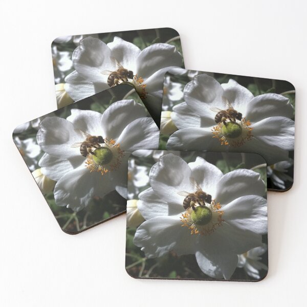 Item preview, Endangered Bee on a White Rose designed and sold by Photomersion.