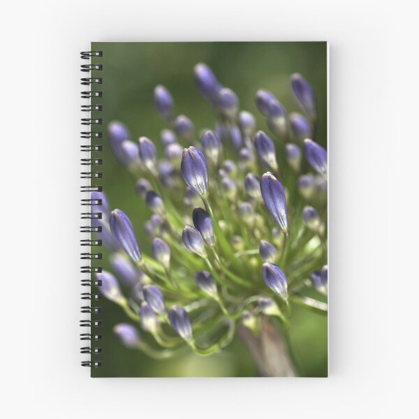 Item preview, Glowing in the Sun designed and sold by Joy Watson - Natural Light Photography .