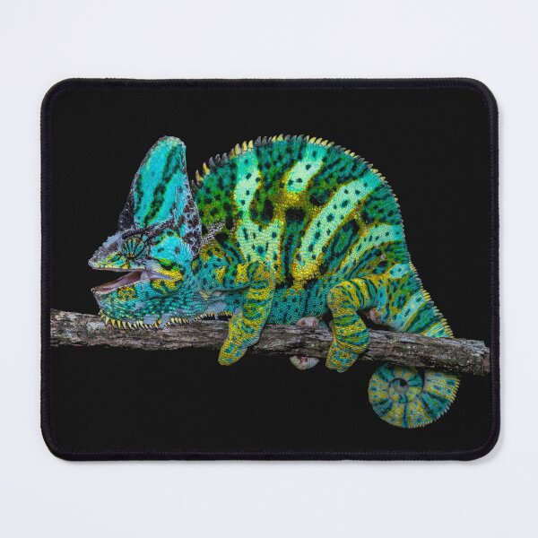 Item preview, Veiled chameleon designed and sold by MrCulebra.