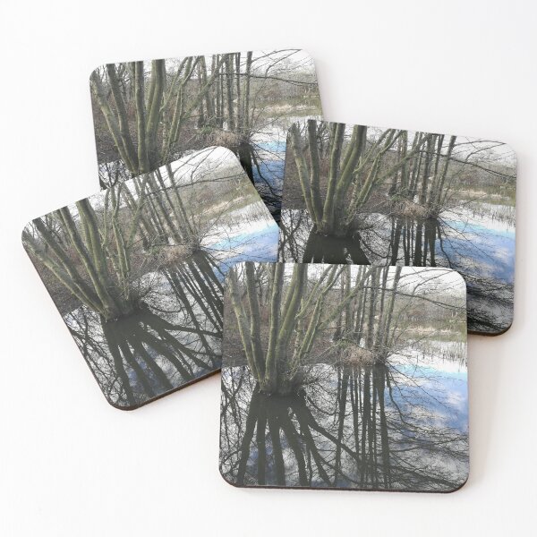 Item preview, Early spring reflections photograph  designed and sold by esvb.