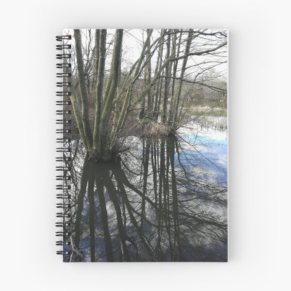 Item preview, Early spring reflections photograph  designed and sold by esvb.