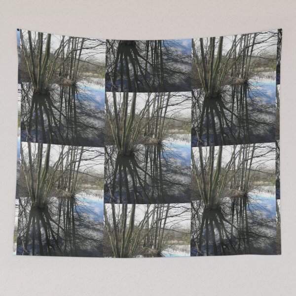 Item preview, Early spring reflections photograph  designed and sold by esvb.