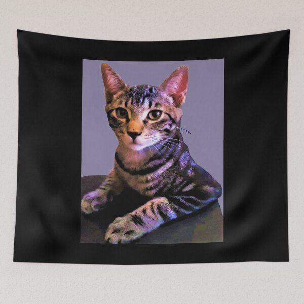 Item preview, Handsome Kitten designed and sold by craftsbydaphy.