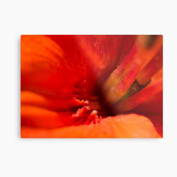 Deep Within Metal Print