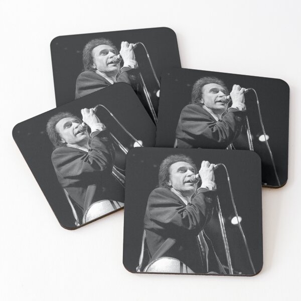 Artikelvorschau, Ray Davies – The Kinks – SW-Foto entworfen und verkauft von ConcertImages.