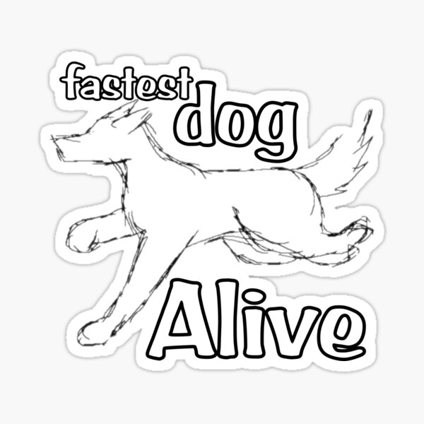 "Fastest dog alive meme design " Sticker for Sale by gamerworld Redbubble