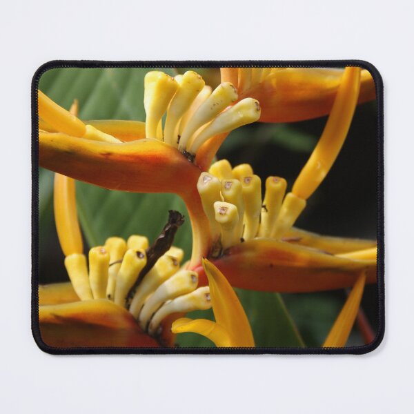 Item preview, Exotic Flower, Tropical Flowers designed and sold by suekieper.