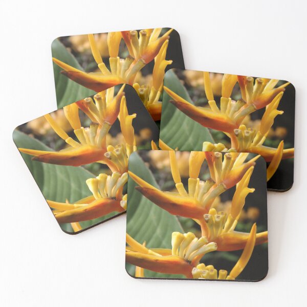 Item preview, Exotic Flower, Tropical Flowers designed and sold by suekieper.