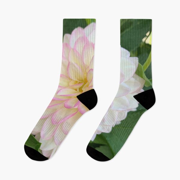 Item preview, Soft Pink, Yellow And White Dahlia Bloom designed and sold by KirtTisdale.