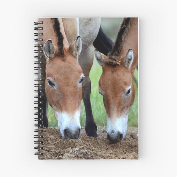Item preview, Caballos de Przewalski, Mongolia designed and sold by Carole-Anne.