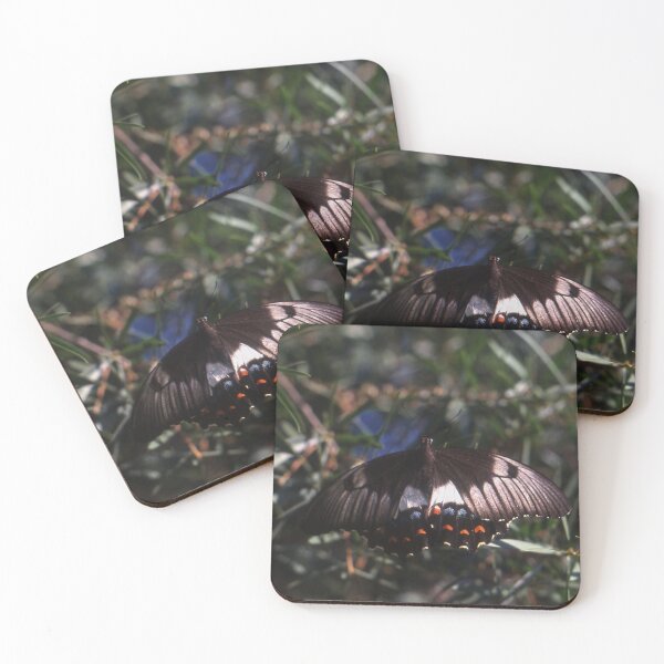 Item preview, Butterfly, Granville, Australia 2001 designed and sold by muz2142.