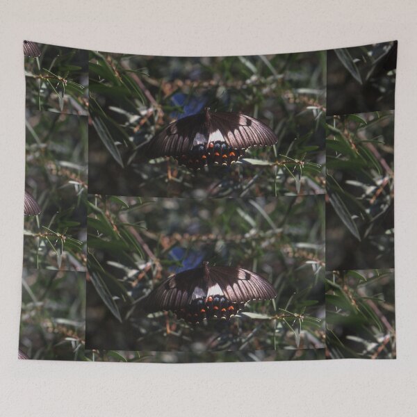 Item preview, Butterfly, Granville, Australia 2001 designed and sold by muz2142.