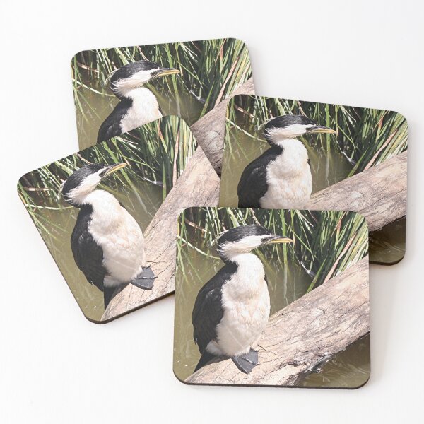 Item preview, Australian Little pied cormorant bird designed and sold by FranWest.