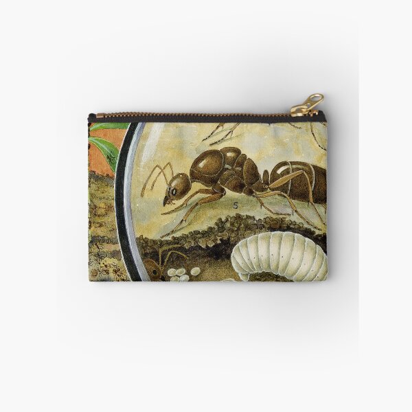 Item preview, Argentine Ant designed and sold by BiosecurityColl.