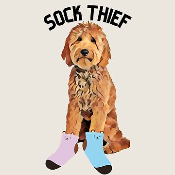 Vorschaubild zum Design Sockendieb Golden Doodle von MameDesign