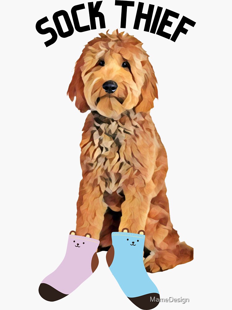 Thumbnail 3 von 3, Sticker, Sockendieb Golden Doodle designt und verkauft von MameDesign.