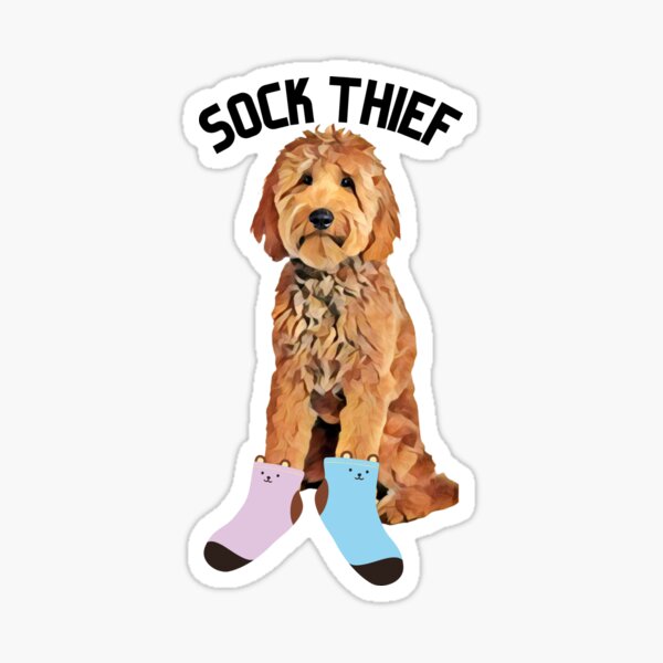 Item preview, Sock Thief Golden Doodle designed and sold by MameDesign.