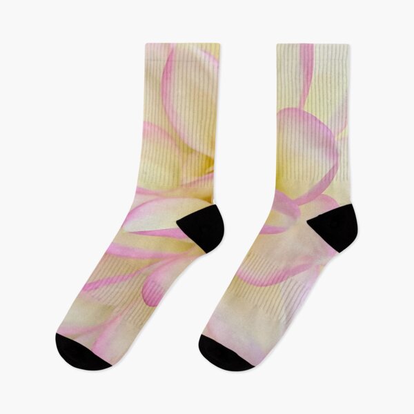 Item preview, Macro Soft Pink, Yellow And White Dahlia Bloom designed and sold by KirtTisdale.
