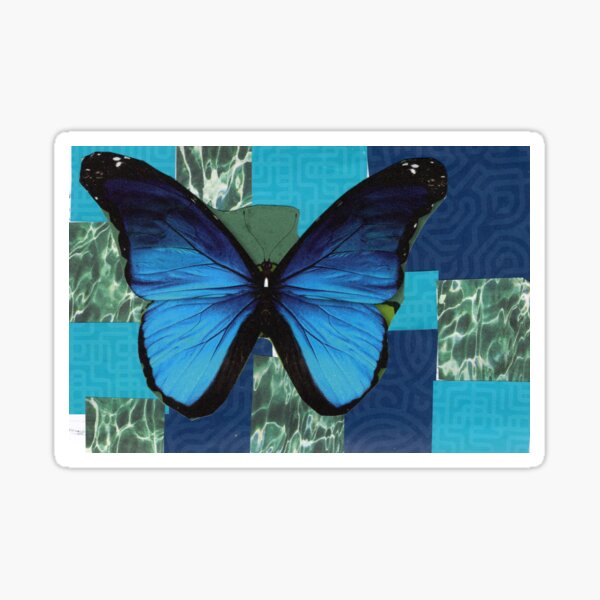 Blue Butterfly Sticker