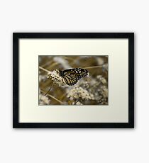 Toned Framed Print