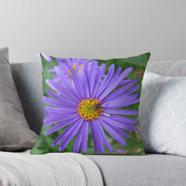 Item preview, Purple aster designed and sold by Lynzi.
