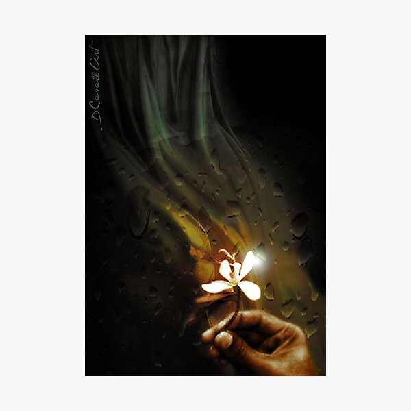 In memoriam.... Photographic Print