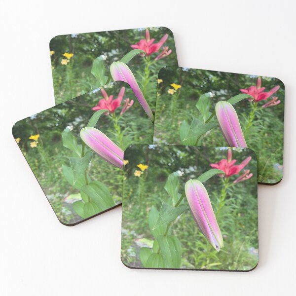 Item preview, Cracking open Lilly designed and sold by TherapeuticNest.