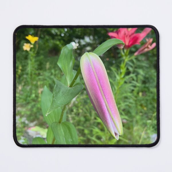 Item preview, Cracking open Lilly designed and sold by TherapeuticNest.